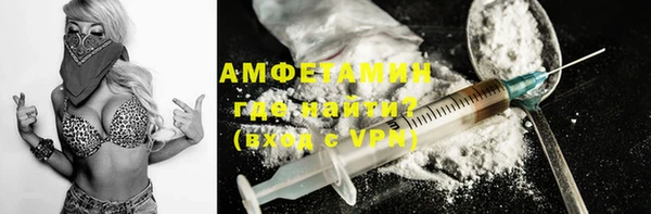 индика Тобольск
