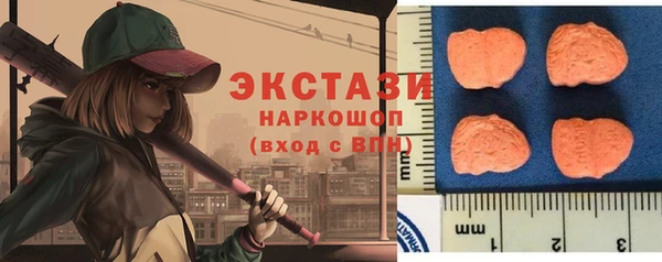 индика Тобольск
