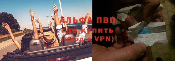 стаф Волоколамск