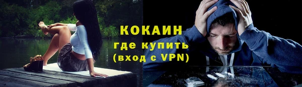 шишки Бронницы