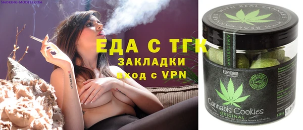 индика Тобольск