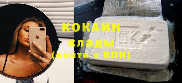 индика Тобольск