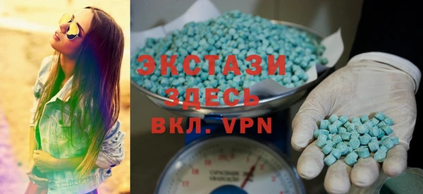 индика Тобольск