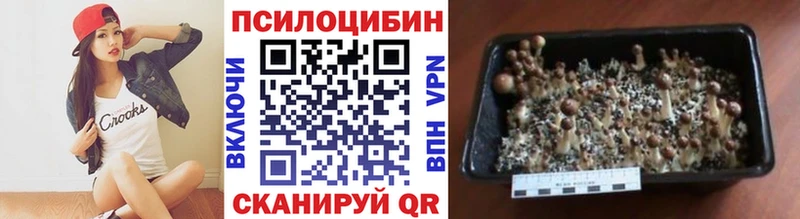 Псилоцибиновые грибы Magic Shrooms Новосокольники